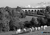 The 18 Arches. Photograph: Columba O'Hare/ Newry.ie 