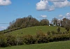 The Crown Mound as it appears today, overgrown with trees and bushes. Newry and Mourne Museum Collection