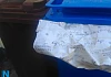 Council reminds residents to continue Recycling over Christmas.