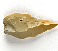 Neolithic flint scraper, dating from 4000 BC to 2400 BC and found during the Carnbane excavations. Newry and Mourne Museum Collection.