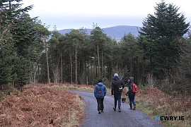 Slieve Gullion Forest Park. Photograph: Columba O'Hare/ Newry.ie 