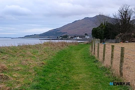 The shores of Carlingford Lough at Omeath. Photograph: Columba O'Hare/ Newry.ie 