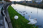 Newry Canal. Photograph: Columba O'Hare/ Newry.ie 