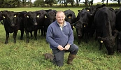 Angus Stovold is set to judge the NI Aberdeen Angus Club’s annual Herd Competition. 