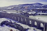 A graphical depiction of the new service crossing over the 18 arches. Image: Iarnrod Eireann/ Translink video still