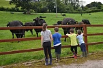HSENI are urging Farming Families to prioritise Child Safety this summer