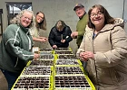 Darragh Cross Community Growers received a Live Here Love Here small grant in 2025 to plant pollinator-friendly bulbs and wildflowers in the village.