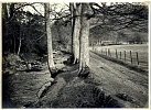 Photograph of the Fairy Glen, Rostrevor, 1939, showing the right of way. Part of the court case for public access. Newry and Mourne Museum Collection.