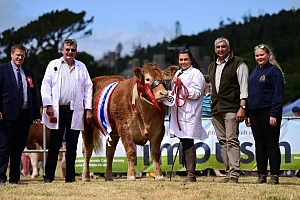 Glenmarshal Anastasia the overall supreme champion at Castlewellan Show 