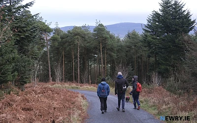 Slieve Gullion Forest Park. Photograph: Columba O'Hare/ Newry.ie 